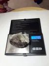 [Ouddict.com] All about Siberian Musk Deer