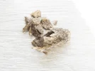 [Ouddict.com] Oud Photos