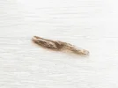 [Ouddict.com] Oud Photos