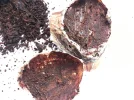 [Ouddict.com] All about Siberian Musk Deer