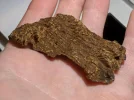 [Ouddict.com] Oud of the Day