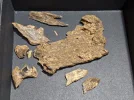 [Ouddict.com] Oud of the Day