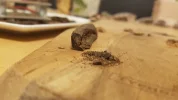 [Ouddict.com] Oud Photos