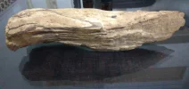 [Ouddict.com] Oud Photos