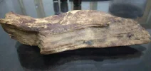 [Ouddict.com] Oud Photos