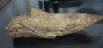 [Ouddict.com] Oud Photos