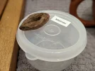[Ouddict.com] Oud Photos