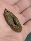 [Ouddict.com] Oud Photos