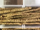 [Ouddict.com] Incense of the Day