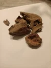 [Ouddict.com] Oud Photos