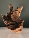 [Ouddict.com] Oud Photos