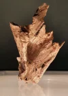 [Ouddict.com] Oud Photos