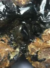 [Ouddict.com] Kyara/Kynam: IS IT REALLY OUD?