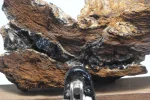 [Ouddict.com] Kyara/Kynam: IS IT REALLY OUD?