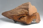 [Ouddict.com] Kyara/Kynam: IS IT REALLY OUD?