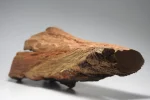 [Ouddict.com] Kyara/Kynam: IS IT REALLY OUD?