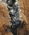 [Ouddict.com] Kyara/Kynam: IS IT REALLY OUD?