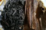 [Ouddict.com] Tea or Coffee