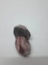 [Ouddict.com] All about Siberian Musk Deer