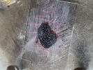 [Ouddict.com] Burn of the Day