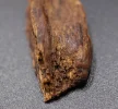 [Ouddict.com] Oud Photos