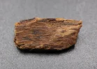 [Ouddict.com] Oud Photos