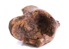 [Ouddict.com] Oud Photos