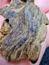 [Ouddict.com] Oud Photos