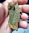 [Ouddict.com] Oud Photos