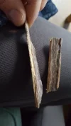 [Ouddict.com] Oud Photos