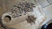 [Ouddict.com] Burn of the Day
