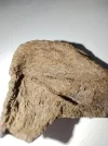 [Ouddict.com] Burn of the Day