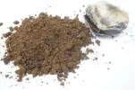 [Ouddict.com] All about Siberian Musk Deer