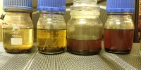 [Ouddict.com] Oud Photos