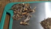 [Ouddict.com] Oud Photos