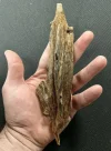 [Ouddict.com] Oud Photos