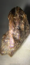 [Ouddict.com] Oud Photos