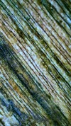 [Ouddict.com] Oud Photos