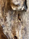 [Ouddict.com] Oud Photos
