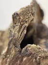 [Ouddict.com] Oud Photos