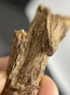 [Ouddict.com] Oud Photos