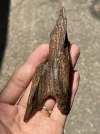 [Ouddict.com] Oud Photos