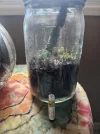 [Ouddict.com] Attar/Mukhallat of the Day