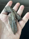 [Ouddict.com] Oud Photos