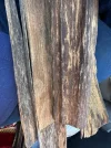 [Ouddict.com] Oud Photos