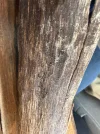 [Ouddict.com] Oud Photos