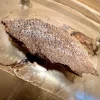 IMG_4167.jpeg
