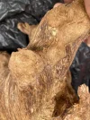 [Ouddict.com] Oud Photos
