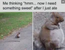 [Ouddict.com] Laugh of the day!
