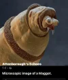 [Ouddict.com] Laugh of the day!